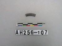 藏品(黑色泥質陶環殘件)的圖片